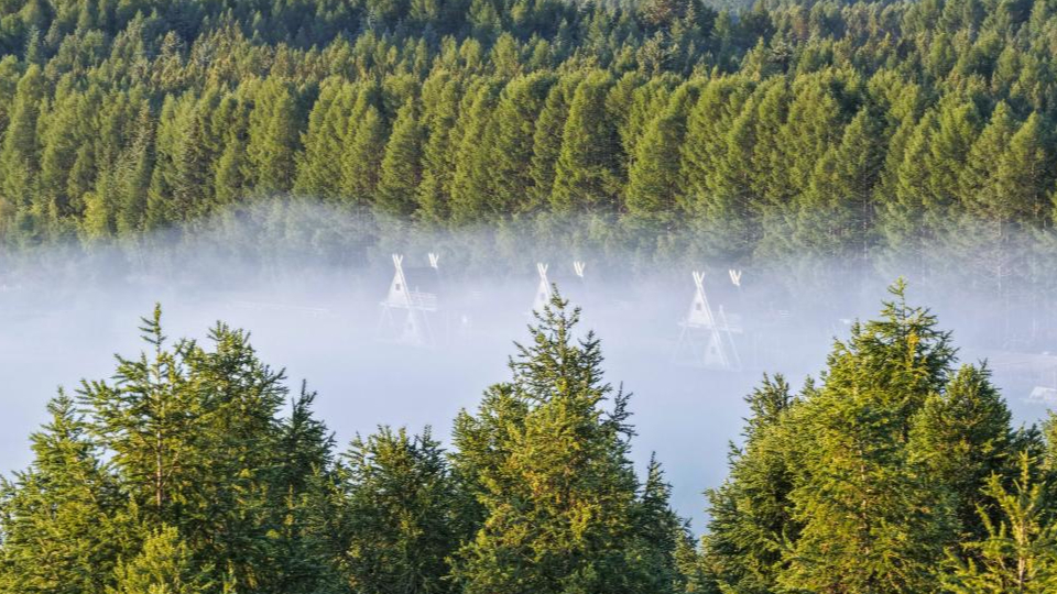 新華鮮報(bào) | 春已至！“植”綠山河