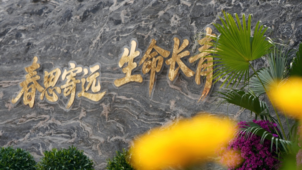 新華網(wǎng)民生觀察丨生態(tài)安葬，從被動接受到主動預(yù)約