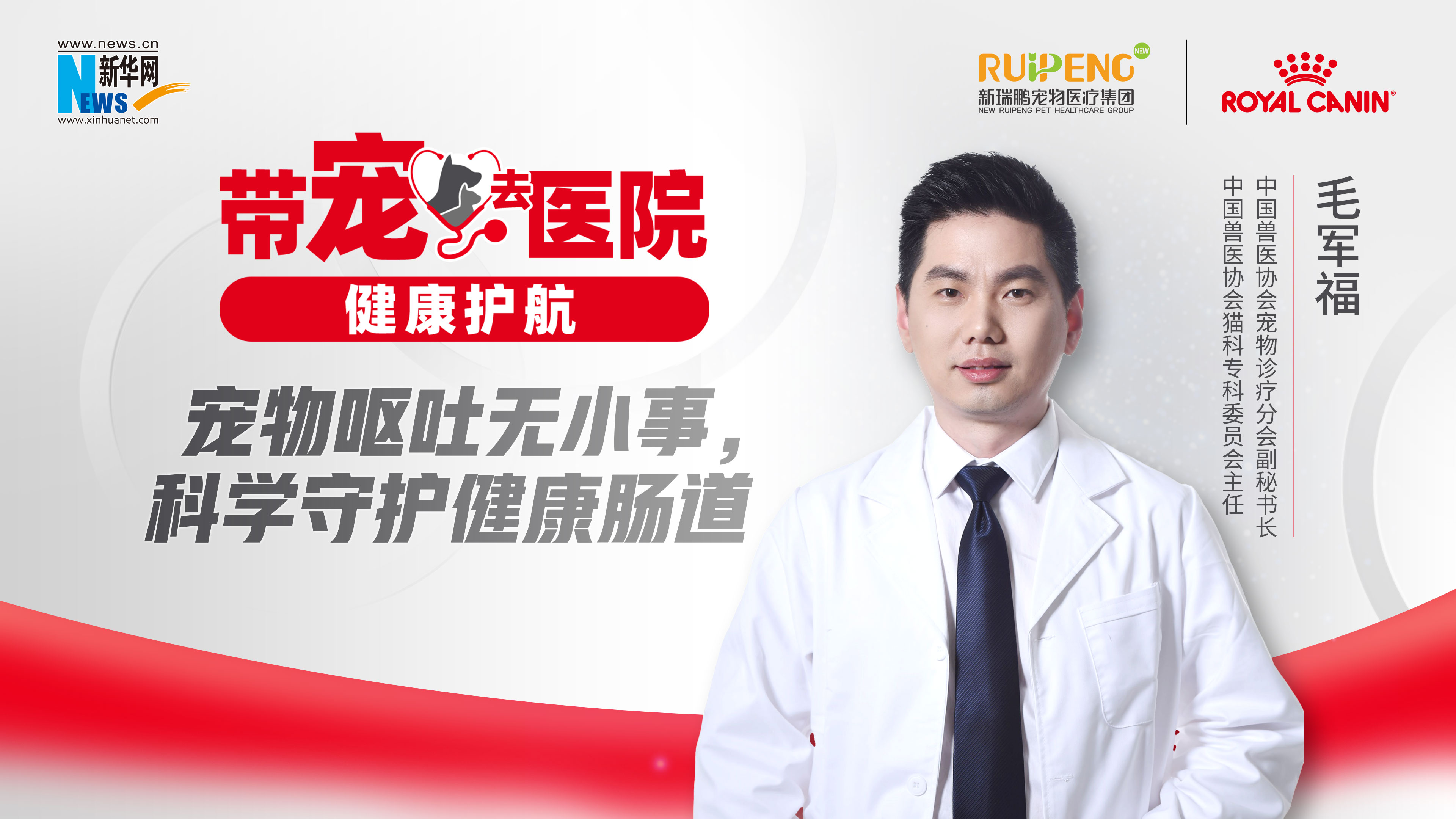 帶寵去醫(yī)院 健康護(hù)航｜寵物嘔吐無小事，科學(xué)守護(hù)健康腸道！