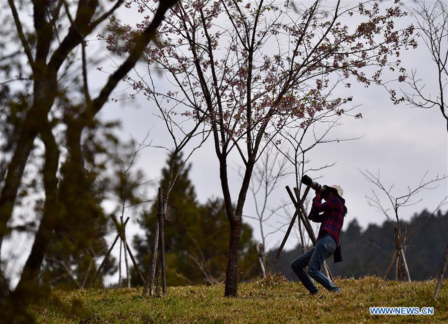 CHINA-ALI MOUNTAIN-SCENERY(CN)