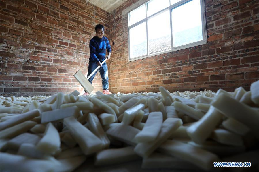 #CHINA-GUIZHOU-LIPING-SNACK "DONGGUO" (CN)