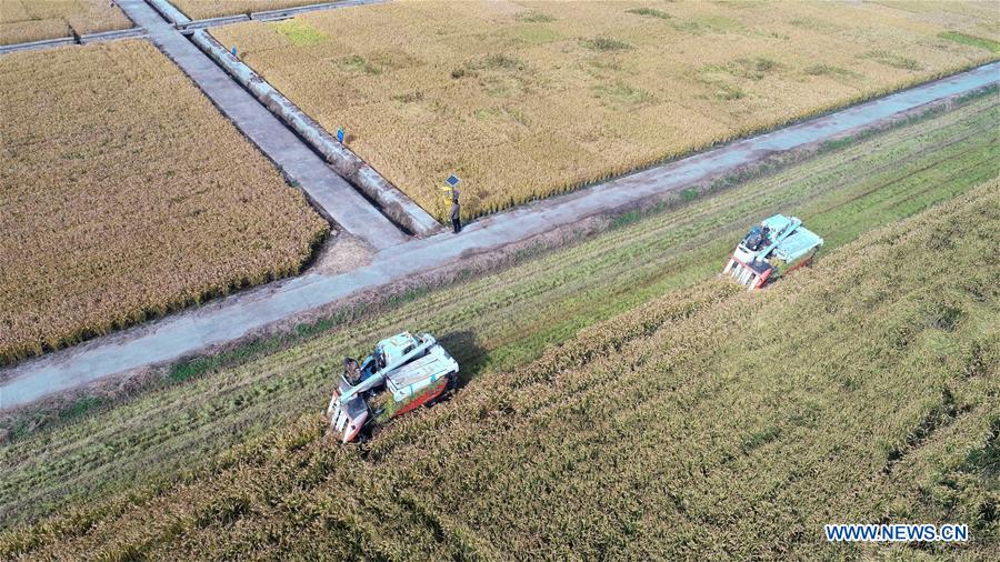 #CHINA-WINTER-HARVEST (CN)