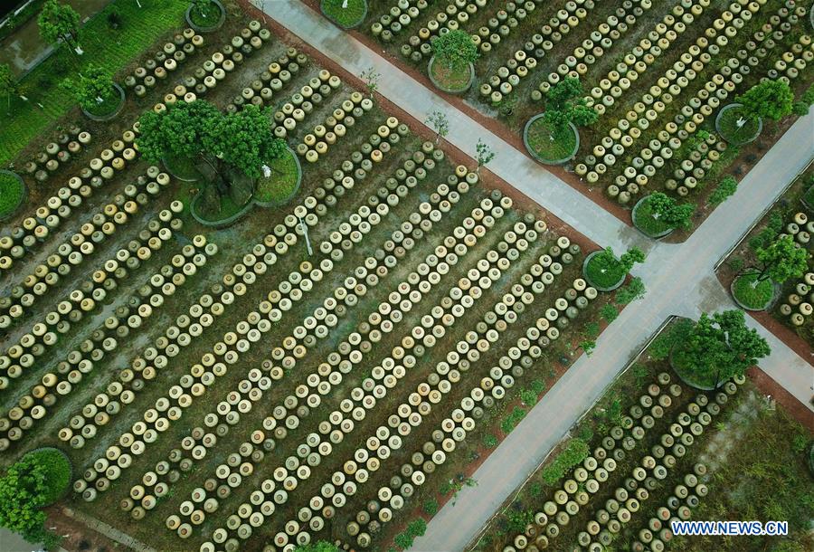 #CHINA-GUIZHOU-VINEGAR MAKING (CN)