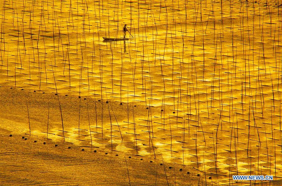 (年終報(bào)道)(12)2018年看大美中國