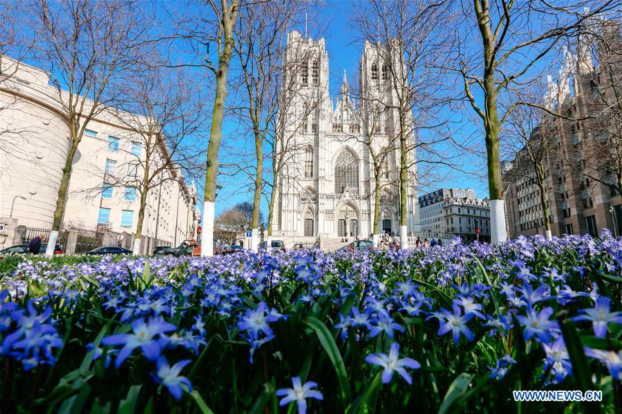 BELGIUM-BRUSSELS-SPRING-FLOWERS
