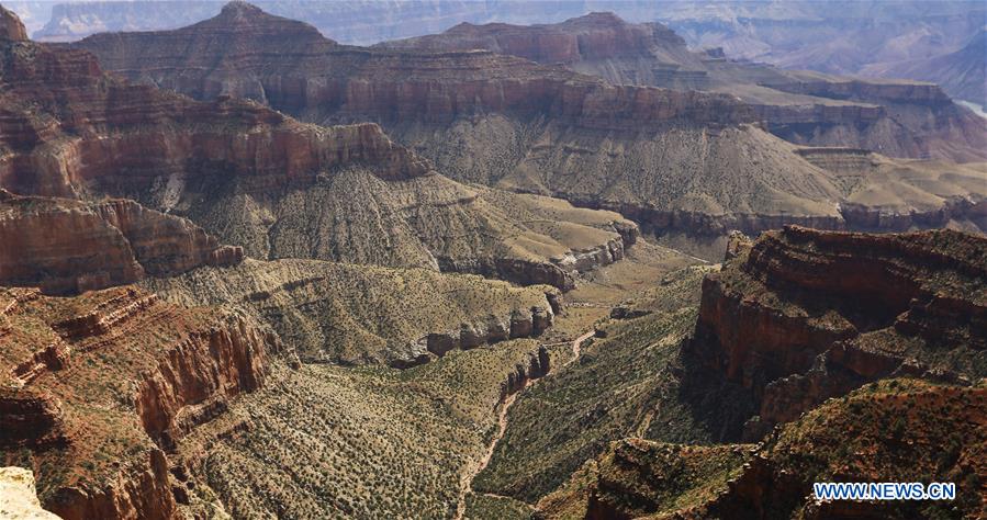 U.S.-LOS ANGELES-GRAND CANYON-SCENERY