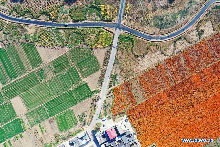 CHINA-HEBEI-HANDAN-SCENERY-AERIAL VIEW (CN)