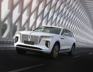 各美其美，美美與共&mdash;&mdash;2020中國企業(yè)家博鰲論壇品牌品鑒交流會側(cè)記