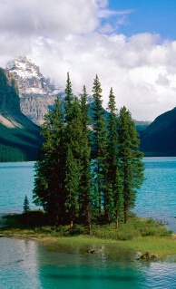 新西蘭&ldquo;深度游&rdquo;大熱