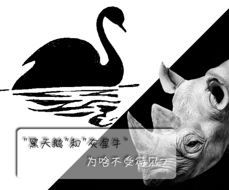"黑天鵝"和"灰犀牛"為啥不受待見？
