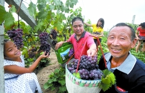 力爭(zhēng)“城鄉(xiāng)收入差距持續(xù)縮小” 富裕農(nóng)民出實(shí)招