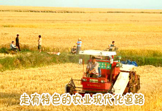 走有特色的農(nóng)業(yè)現(xiàn)代化道路