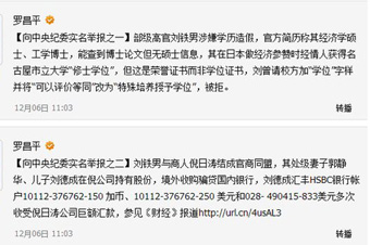 羅昌平：將公布舉報(bào)劉鐵男&ldquo;來(lái)龍&rdquo;