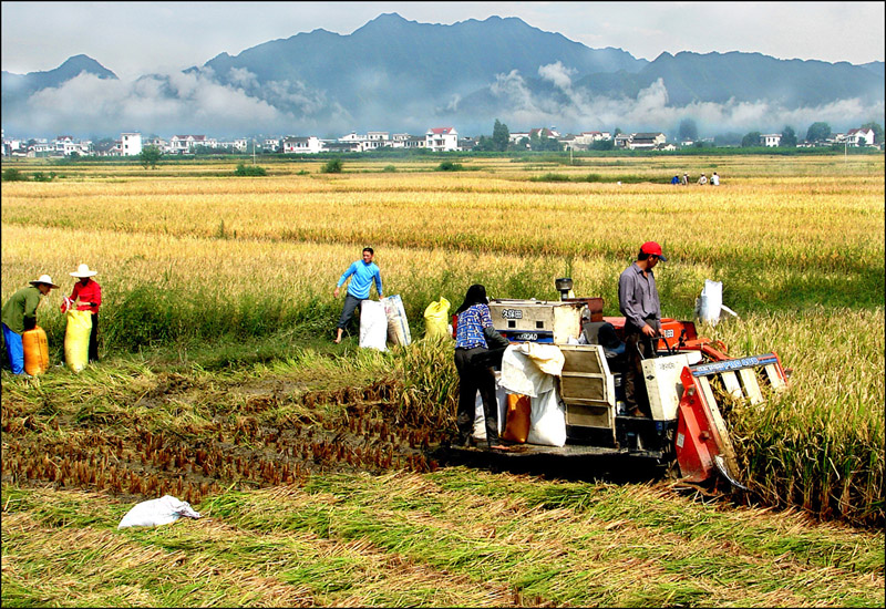 堅定自信書寫中國傳奇