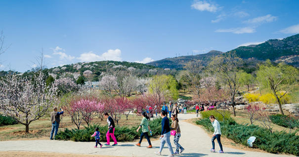 美到無(wú)法呼吸！&ldquo;西山晴雪&rdquo;攝影大賽來(lái)了
