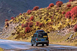 天微涼葉漸黃，最美風(fēng)景是家鄉(xiāng)