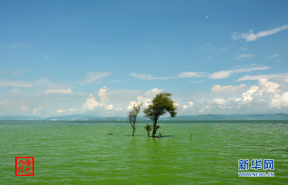陽(yáng)光昆明，爽爽的春城