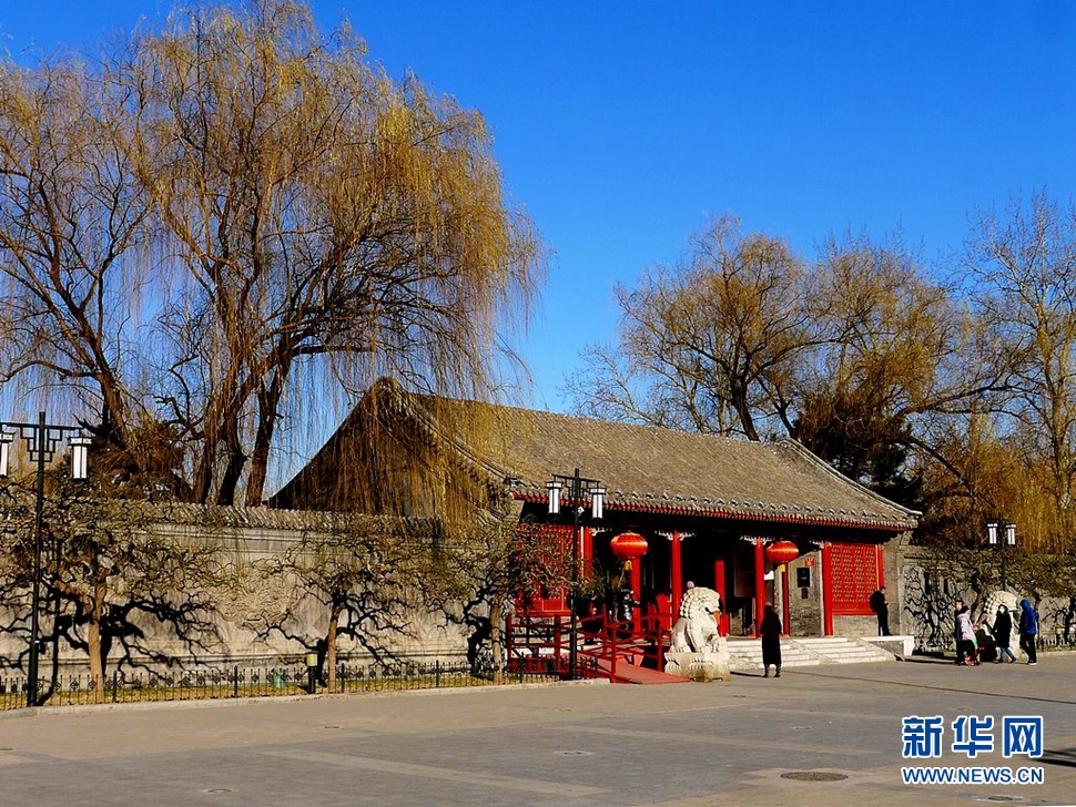 冬至，漫步大觀園