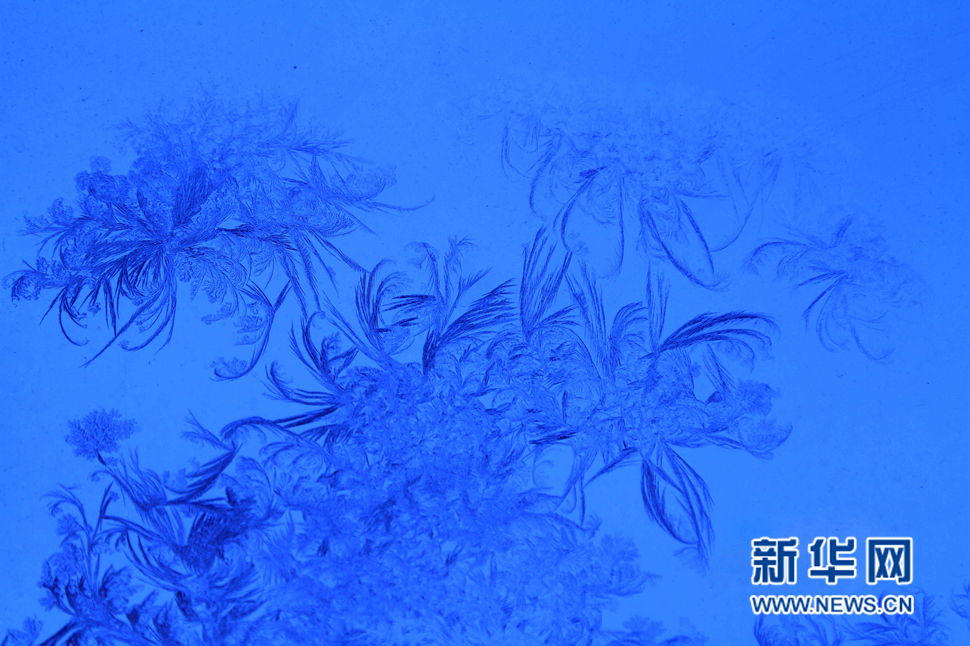 忽如一夜寒冬來(lái)，千家萬(wàn)戶(hù)窗花開(kāi)