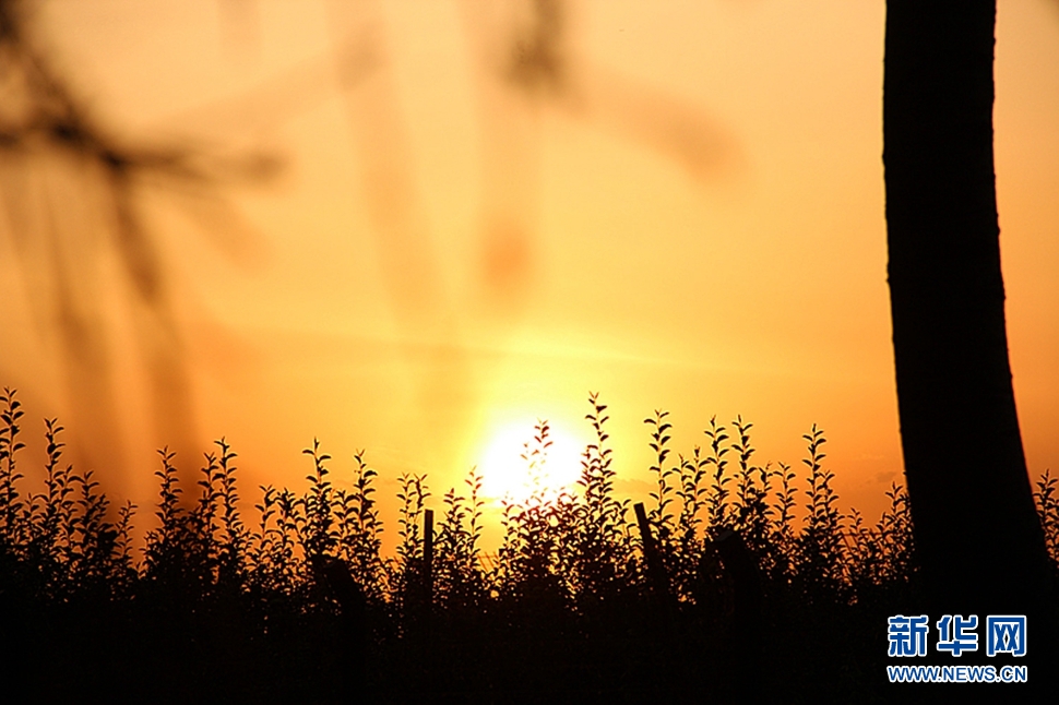 日落西山頭，人約黃昏后