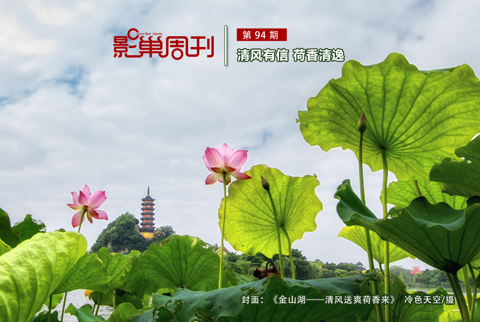 金山湖——清風(fēng)送爽荷香來