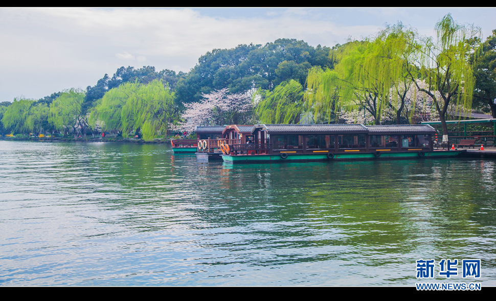 聽風(fēng)西湖柳，聞香龍井茶