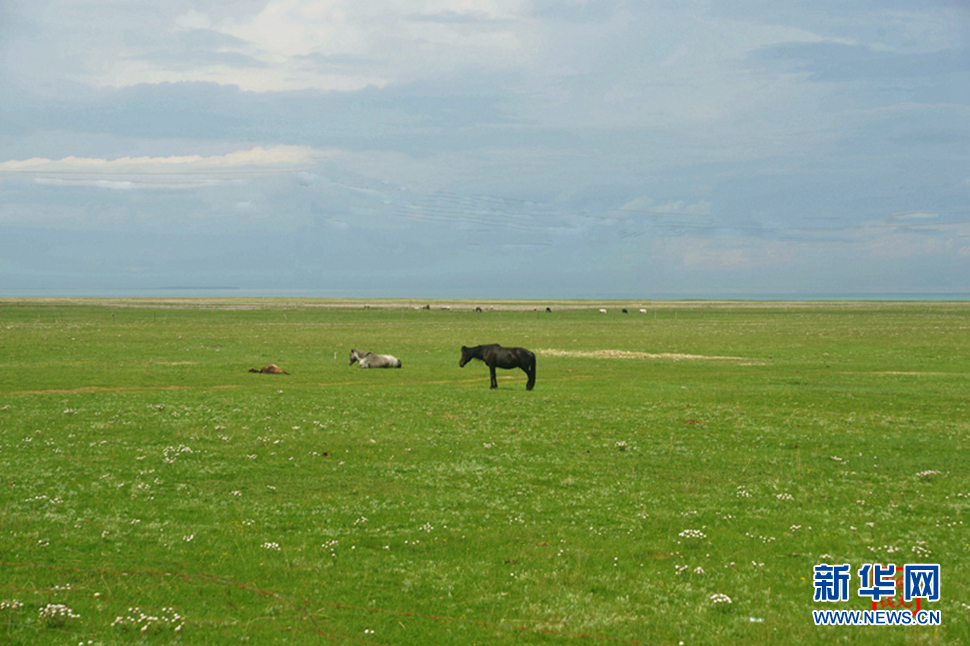 高原放歌之那山、那寺、那朵云