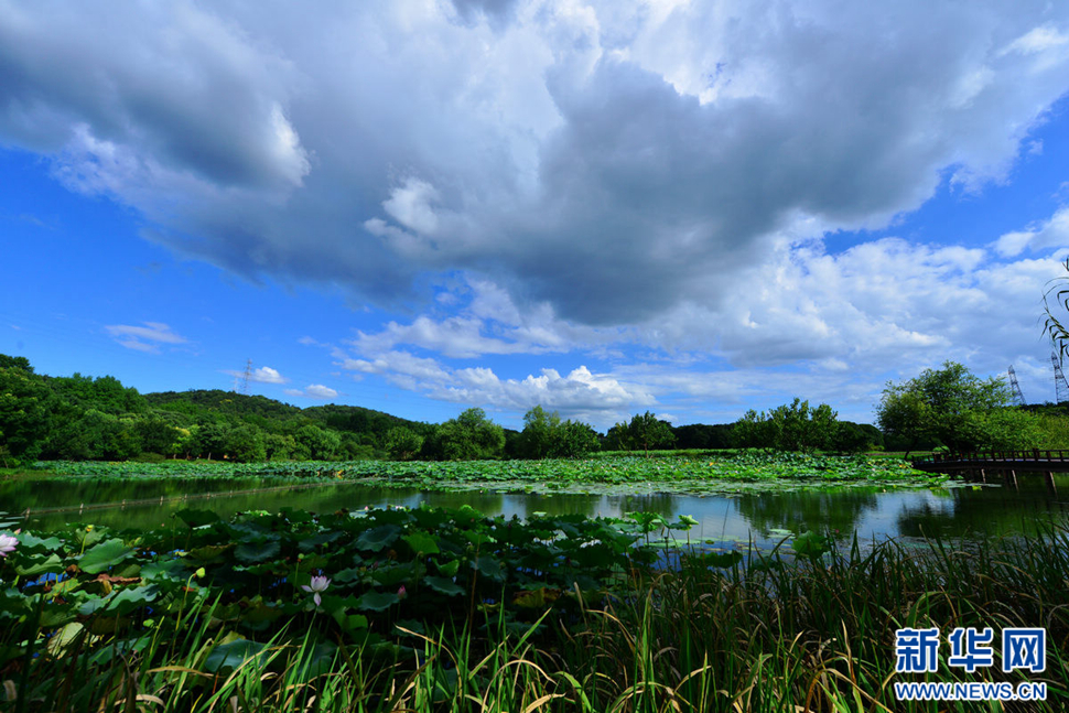 秋高氣爽，行攝八掛田