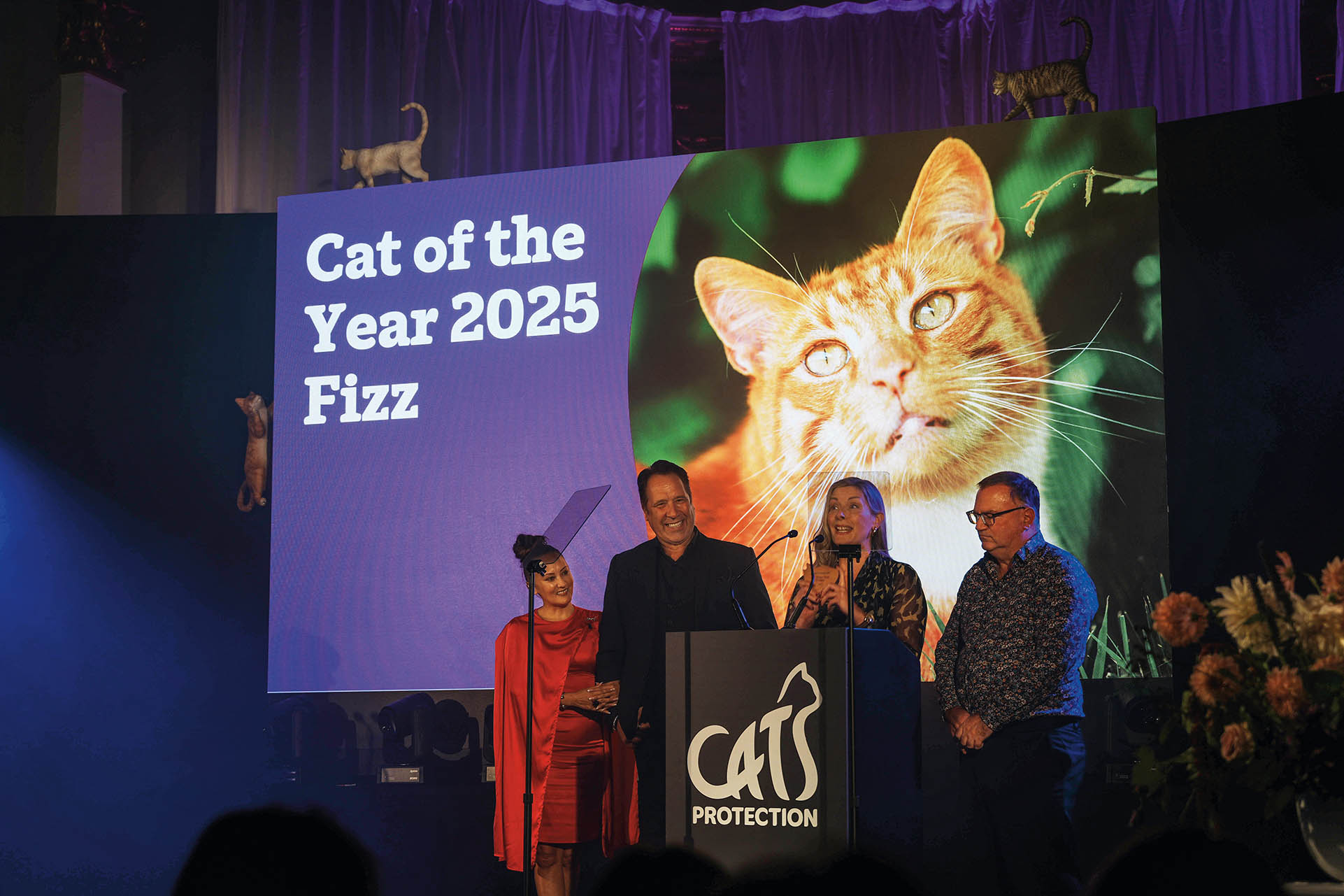 英国百年组织见证人与猫的故事