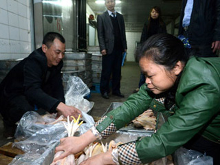江西宰殺、冷凍積壓禽肉 緩解H7N9禽流感影響