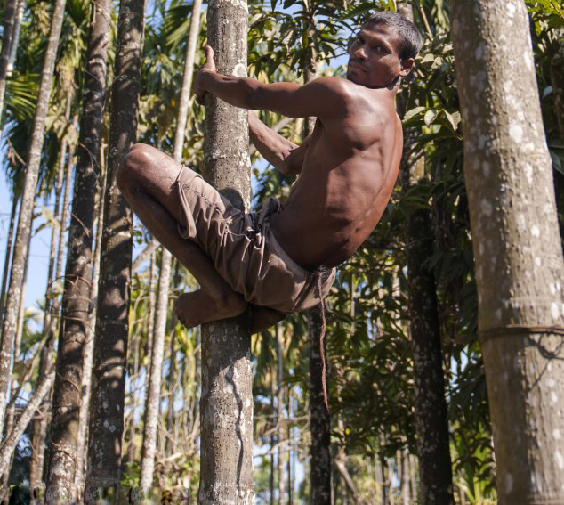 印男子長37厘米尾巴被奉為&ldquo;猴神&rdquo;【圖】