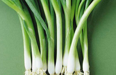 養(yǎng)生:春天吃點蔥和蒜