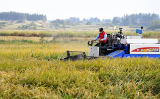 40年，小崗人的18個(gè)&ldquo;第一次&rdquo;