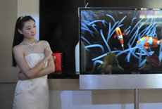 模特“配”電視