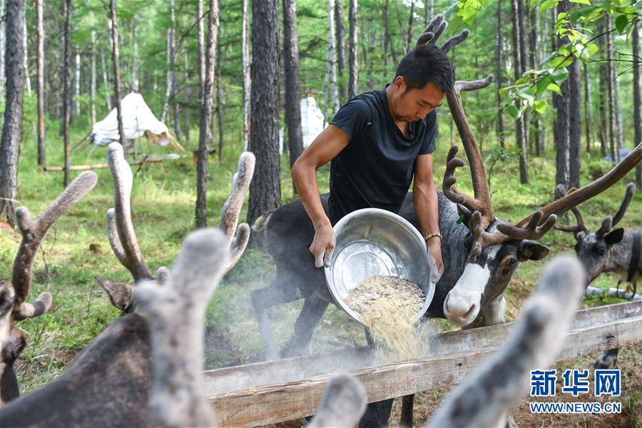 【聚焦脫貧攻堅(jiān)】這組數(shù)字，來(lái)之不易