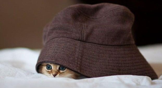 老外搞怪！facebook插圖欣賞(組圖)