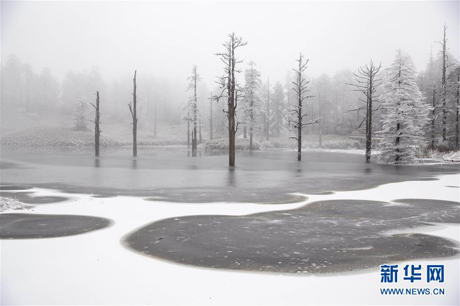 (社會(huì))(9)暢游冰雪瓦屋山