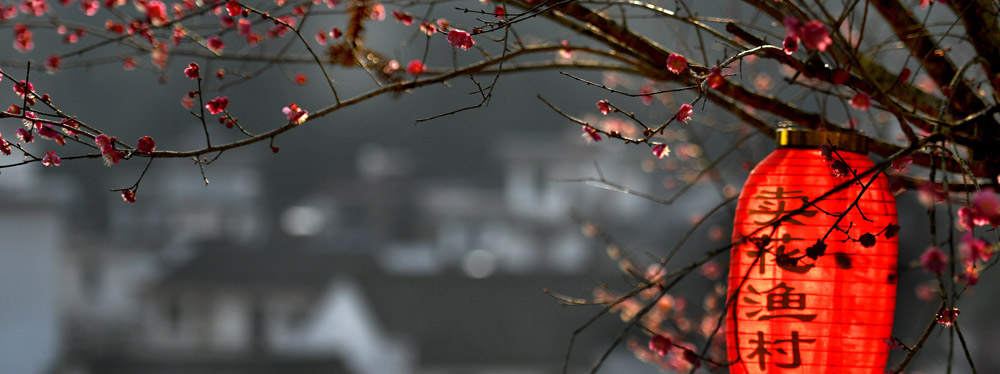 春來花開，綻放正當時