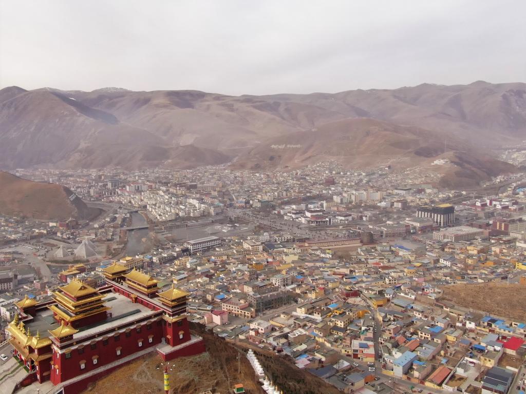 震后11年，玉樹正芳華