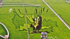 稻田畫引客來(lái)