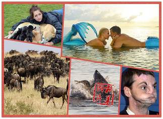 一周趣圖：&ldquo;美人魚情侶&rdquo;海底上演唯美愛情