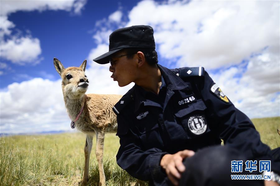 （十九大&middot;讀報(bào)告 話民生）（8）加快生態(tài)文明體制改革，建設(shè)美麗中國