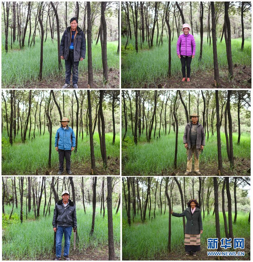 （十九大&middot;讀報(bào)告 話民生）（9）加快生態(tài)文明體制改革，建設(shè)美麗中國