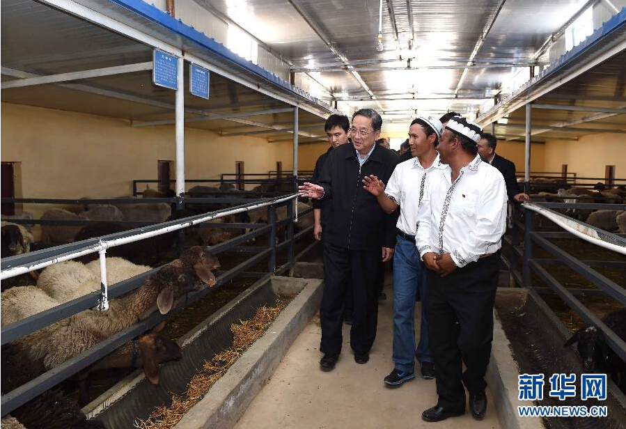 9月27日，中共中央政治局常委、全國政協(xié)主席、中央代表團(tuán)團(tuán)長俞正聲率中央代表團(tuán)部分成員赴喀什地區(qū)莎車縣看望各族干部群眾。這是俞正聲在新疆生產(chǎn)建設(shè)兵團(tuán)第三師莎車農(nóng)場實地察看萬只羊養(yǎng)殖基地。新華社記者 饒愛民 攝