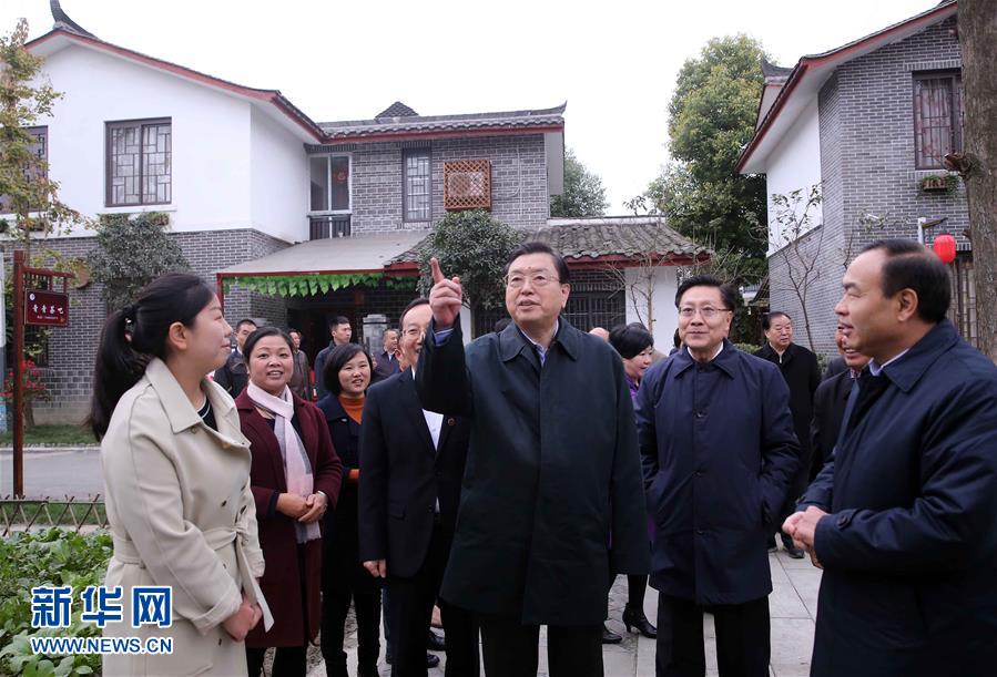 這是11月22日，張德江來(lái)到成都郫縣青杠樹(shù)村，了解村民委員會(huì)工作情況。 新華社記者 劉衛(wèi)兵 攝 