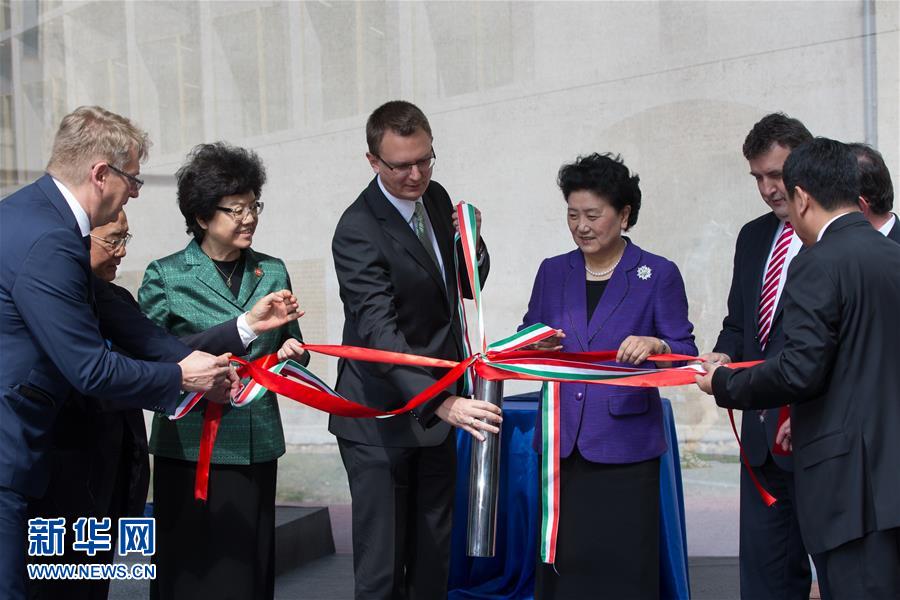 (XHDW)(1)劉延?xùn)|:推動中醫(yī)藥合作成為促進(jìn)中匈衛(wèi)生合作和人文交流的亮麗“名片”