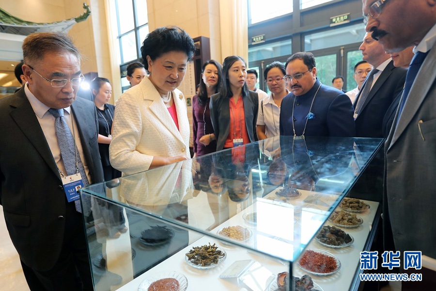 7月6日，金磚國家衛(wèi)生部長會暨傳統(tǒng)醫(yī)藥高級別會議在天津開幕。這是國務(wù)院副總理劉延?xùn)|與外賓一起參觀傳統(tǒng)醫(yī)藥文化展。 新華社記者 張玉薇 攝