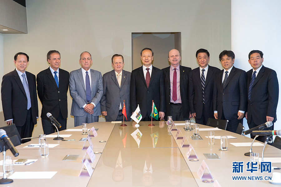 7月11日，在巴西首都巴西利亞，中共中央書記處書記、全國政協(xié)副主席杜青林（中）會見巴西民主運動黨總書記毛羅&middot;洛佩斯（左四）。新華社記者李明攝