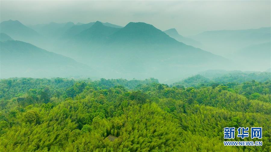 （新華全媒頭條&middot;圖文互動）（9）赤水：別了，貧困！