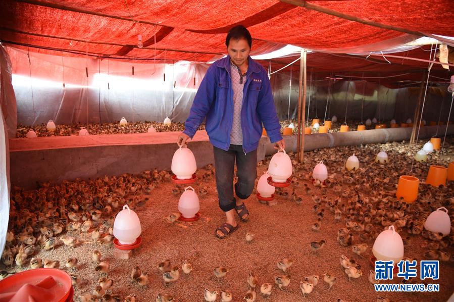 （新華全媒頭條&middot;圖文互動）（8）赤水：別了，貧困！